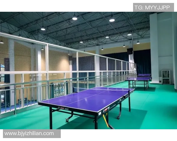 以体育馆为核心打造多功能运动休闲中心提升社区活力与健康水平