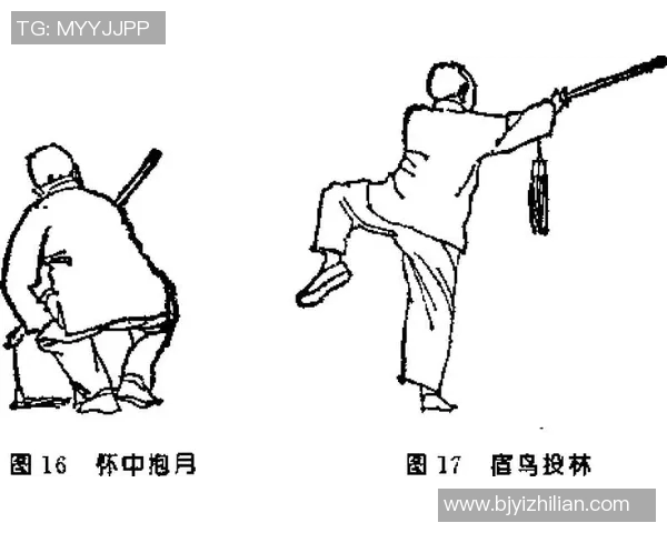 武术文化的传承与创新：从传统套路到现代搏击的演变与影响