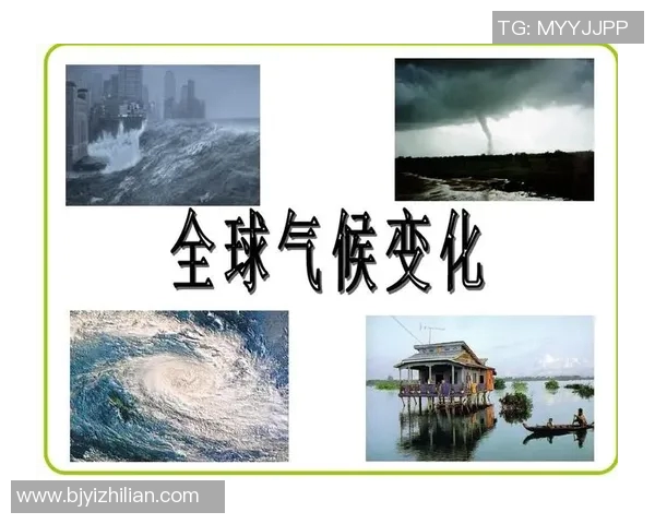 全球气候变化引发极端天气频发 各国加强合作应对环境挑战